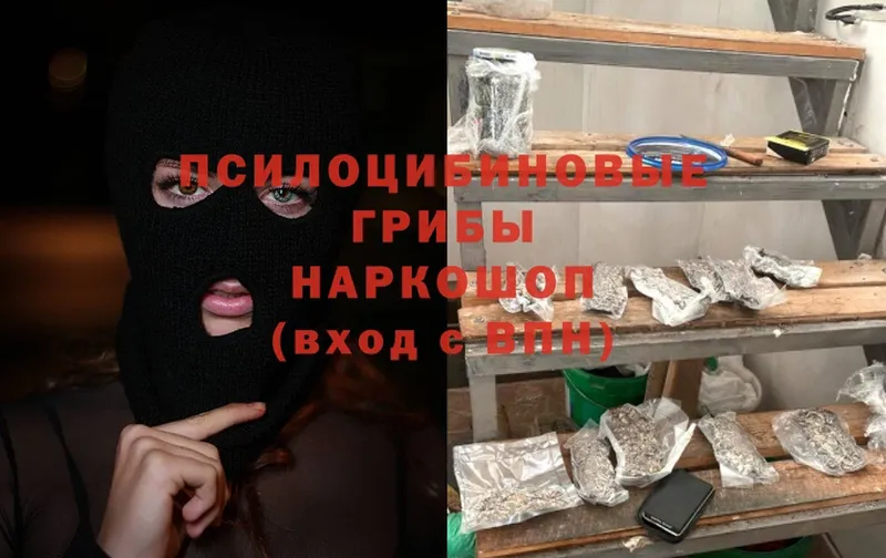 Галлюциногенные грибы Psilocybine cubensis  Чистополь 